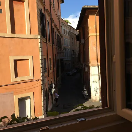 Happy Trastevere